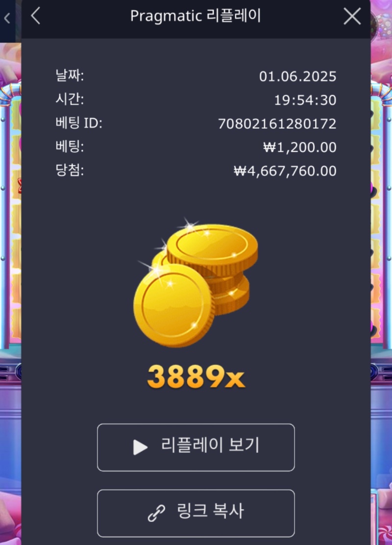 슈천 3889배
