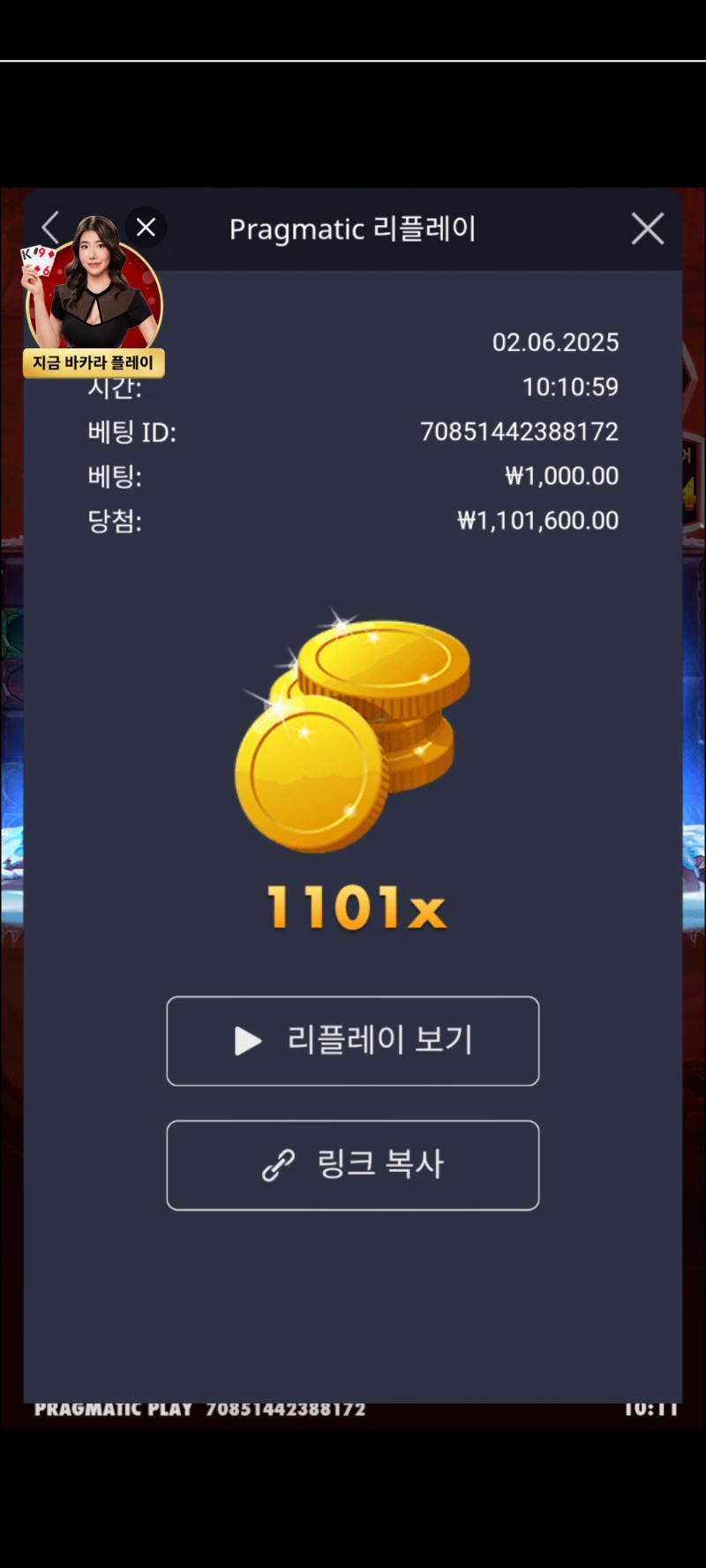 맘모스1101