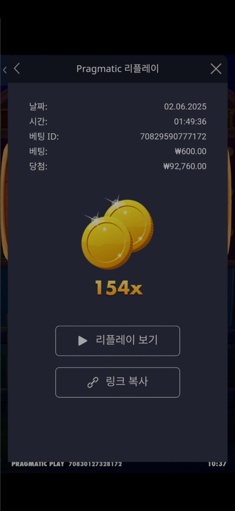 도그메가154배
