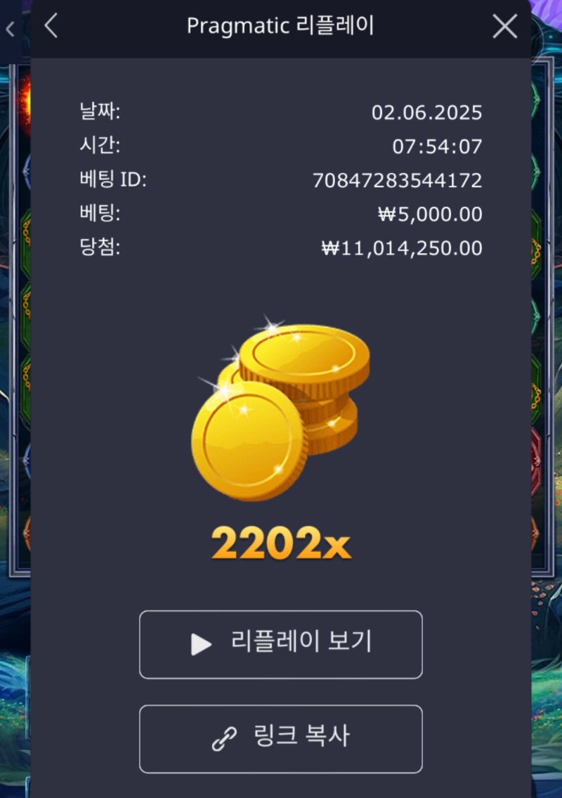파포 2202배