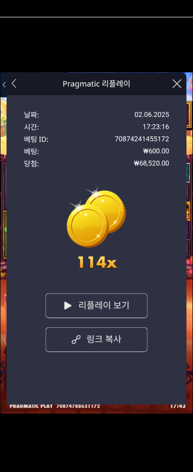 무에르 114배