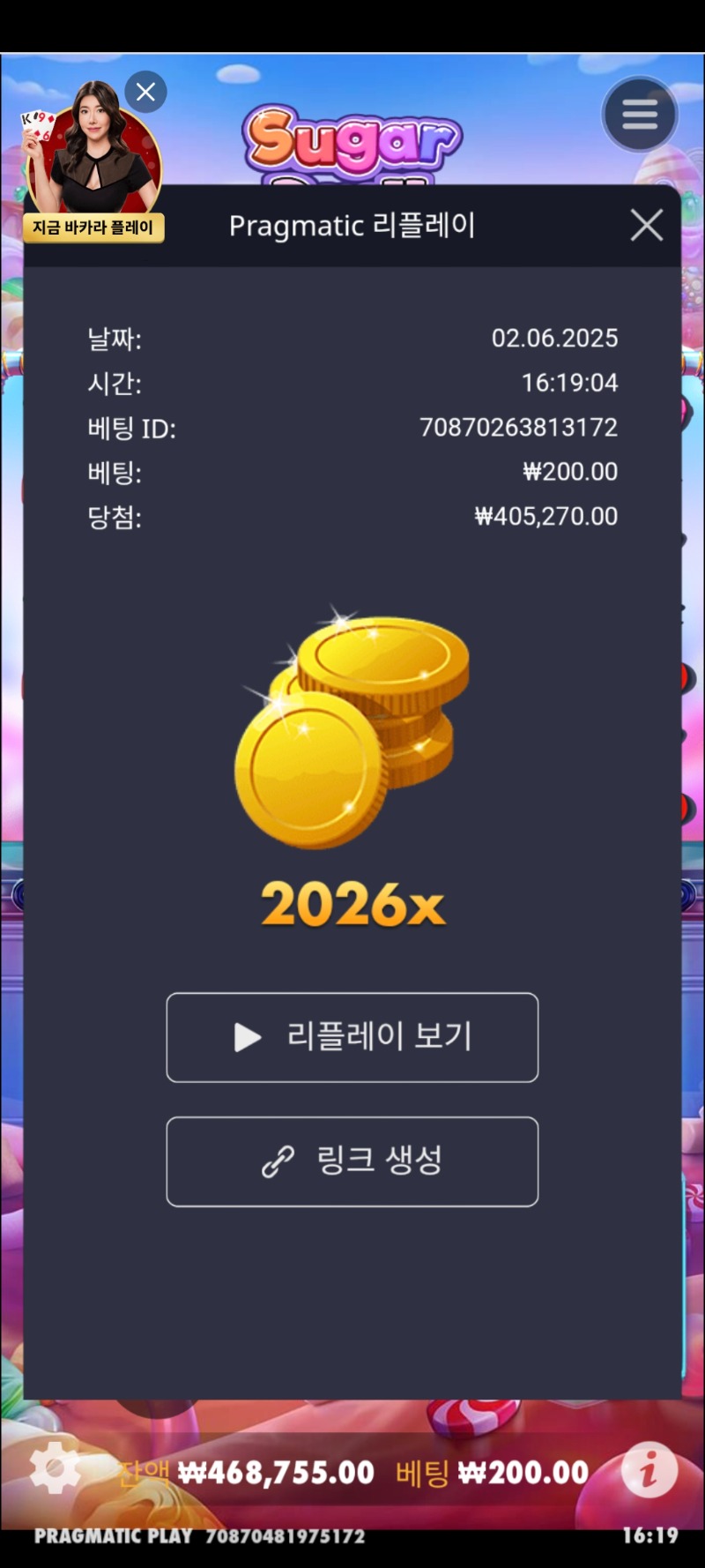 슈가 1000 / 2026배