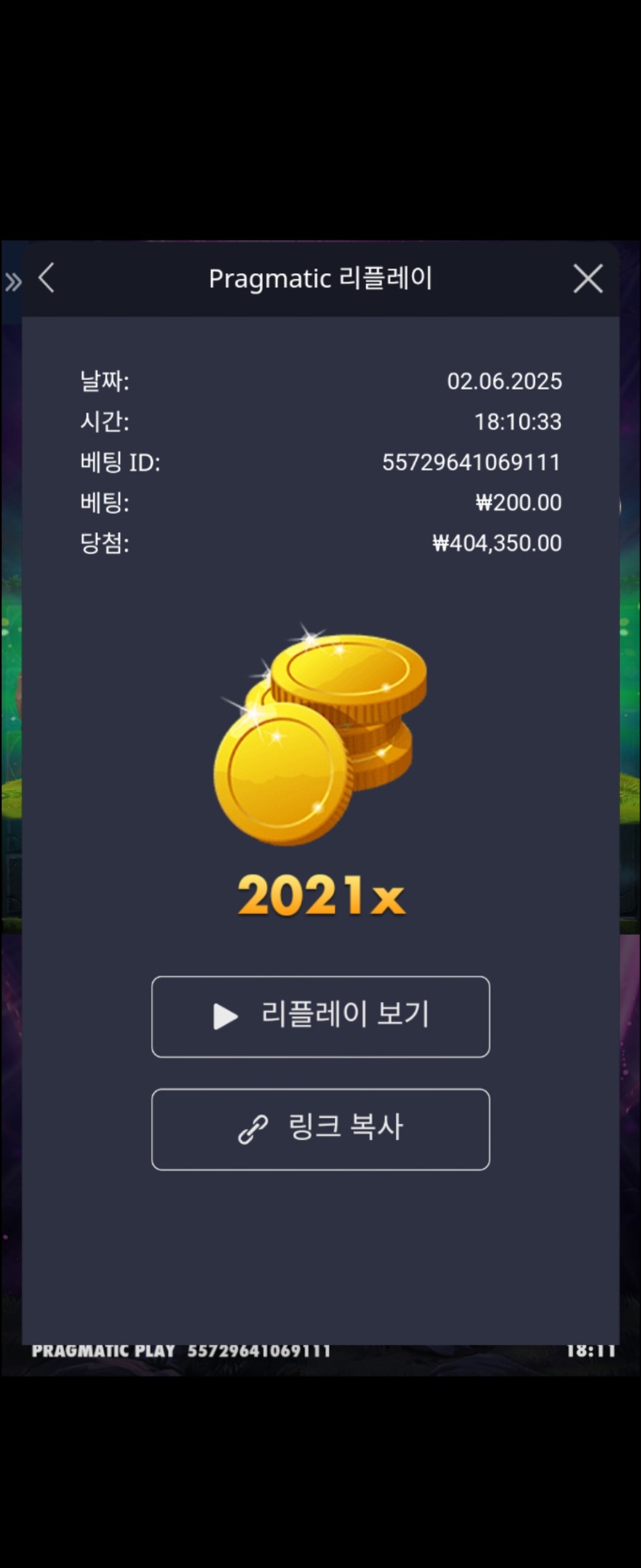 멀린 2021배