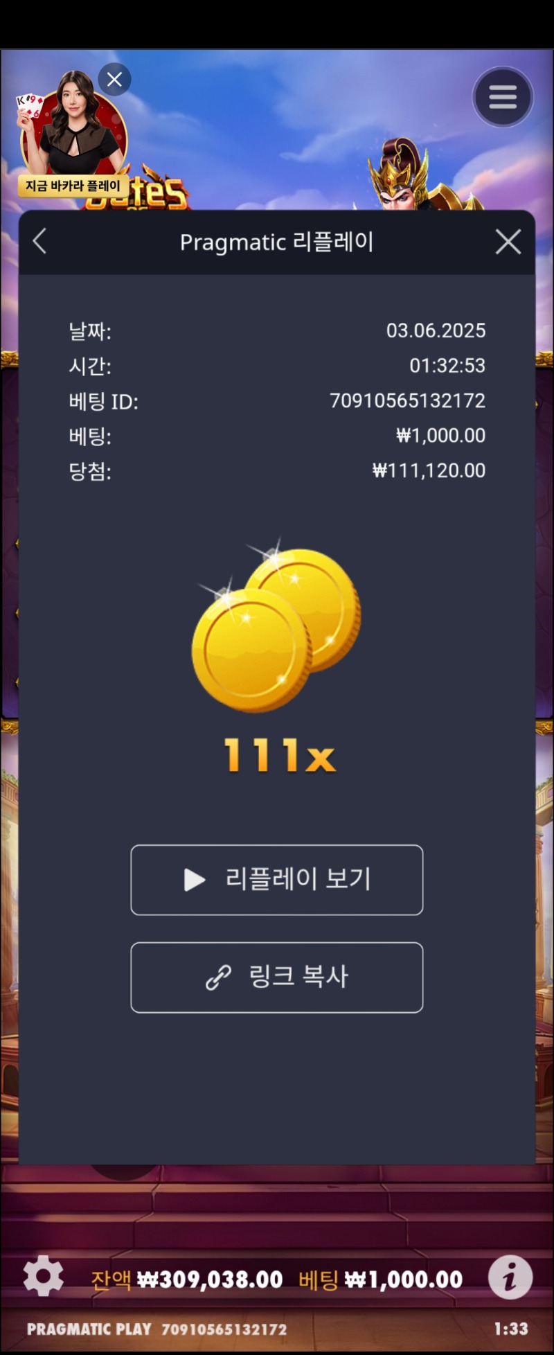 가토가차1000 111배