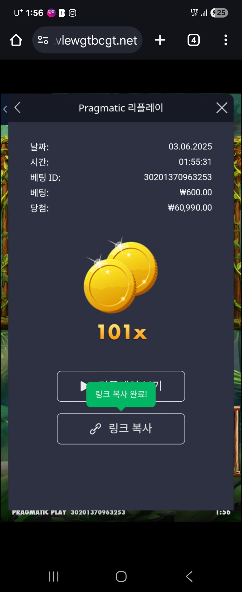 아마존의과일 101배