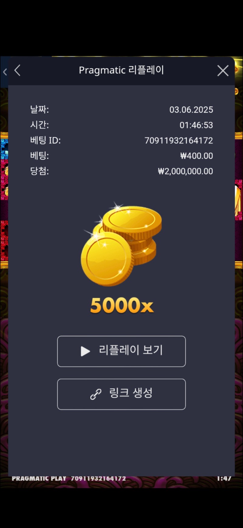 토라메5000