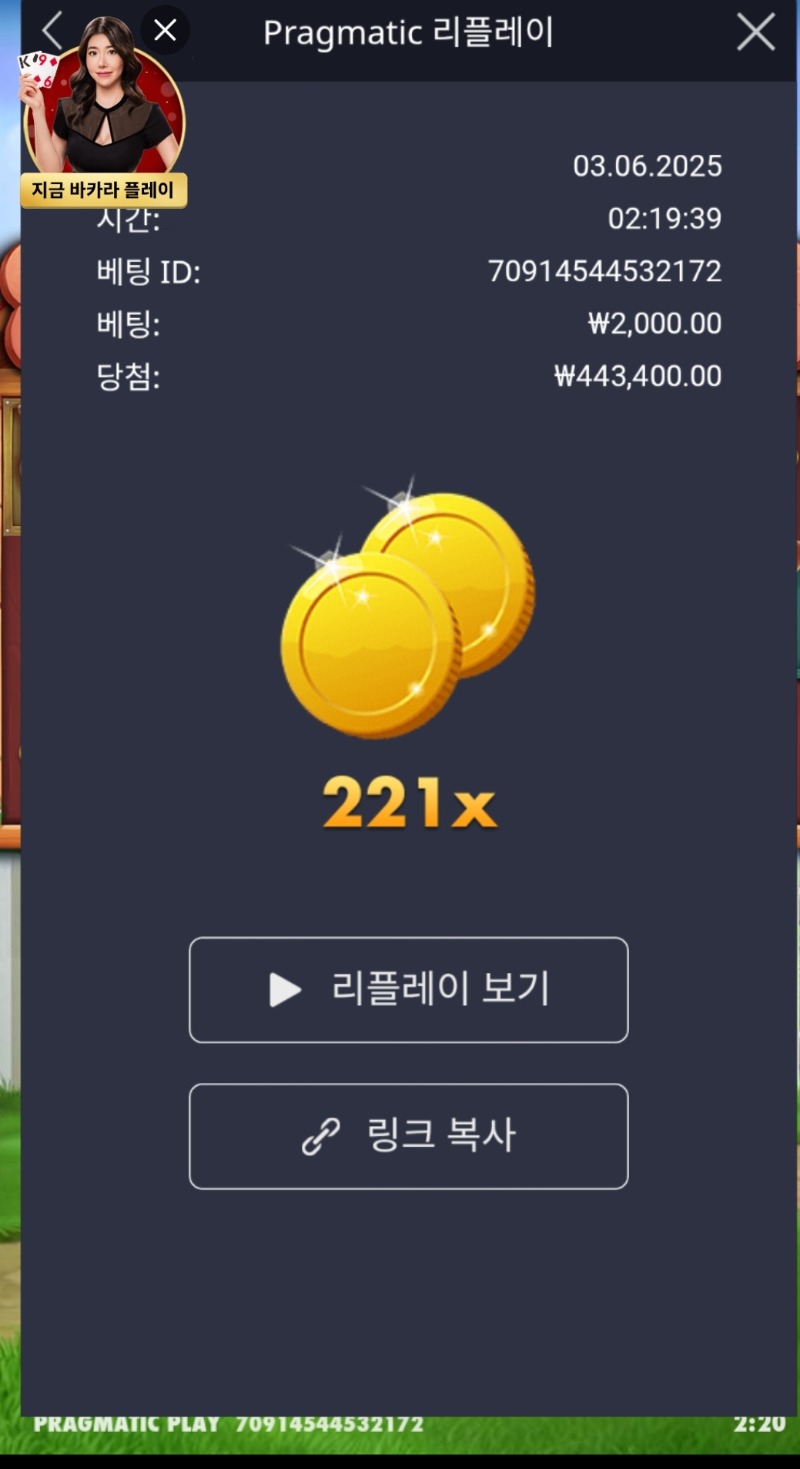 개집 221배