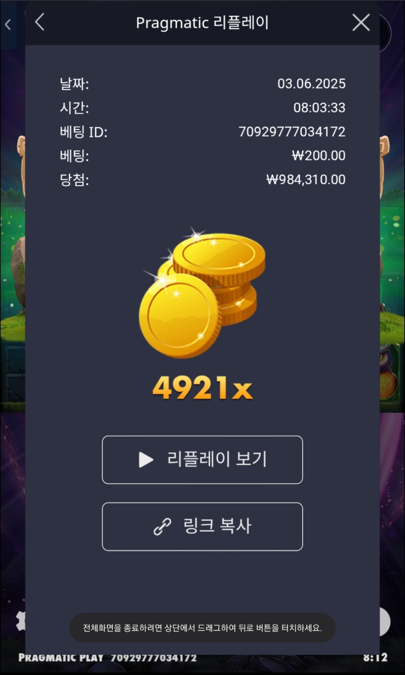 멀린 4921