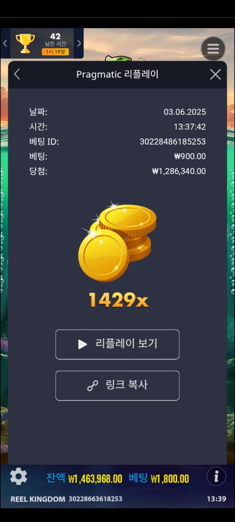 베스1000 1429