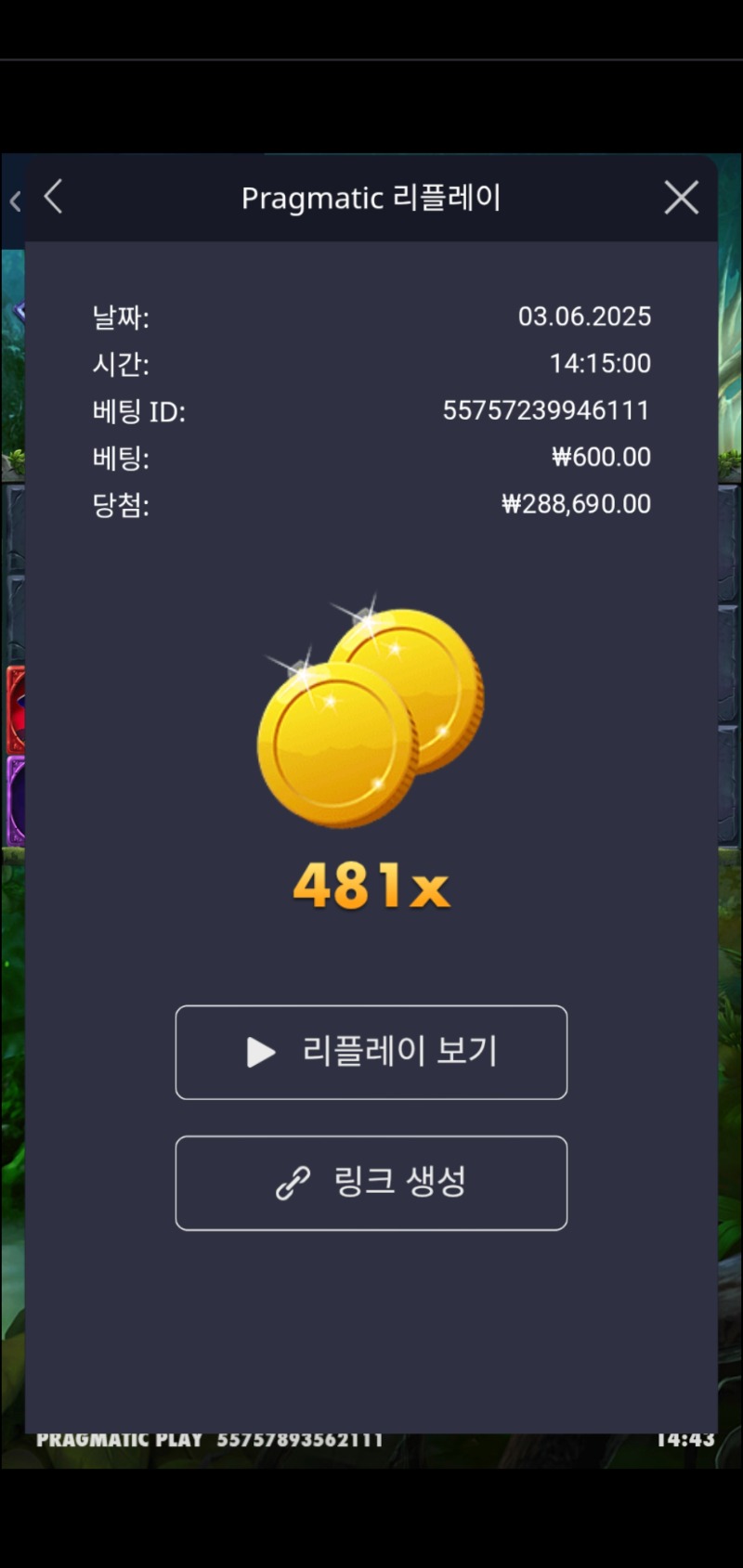 멀린481배