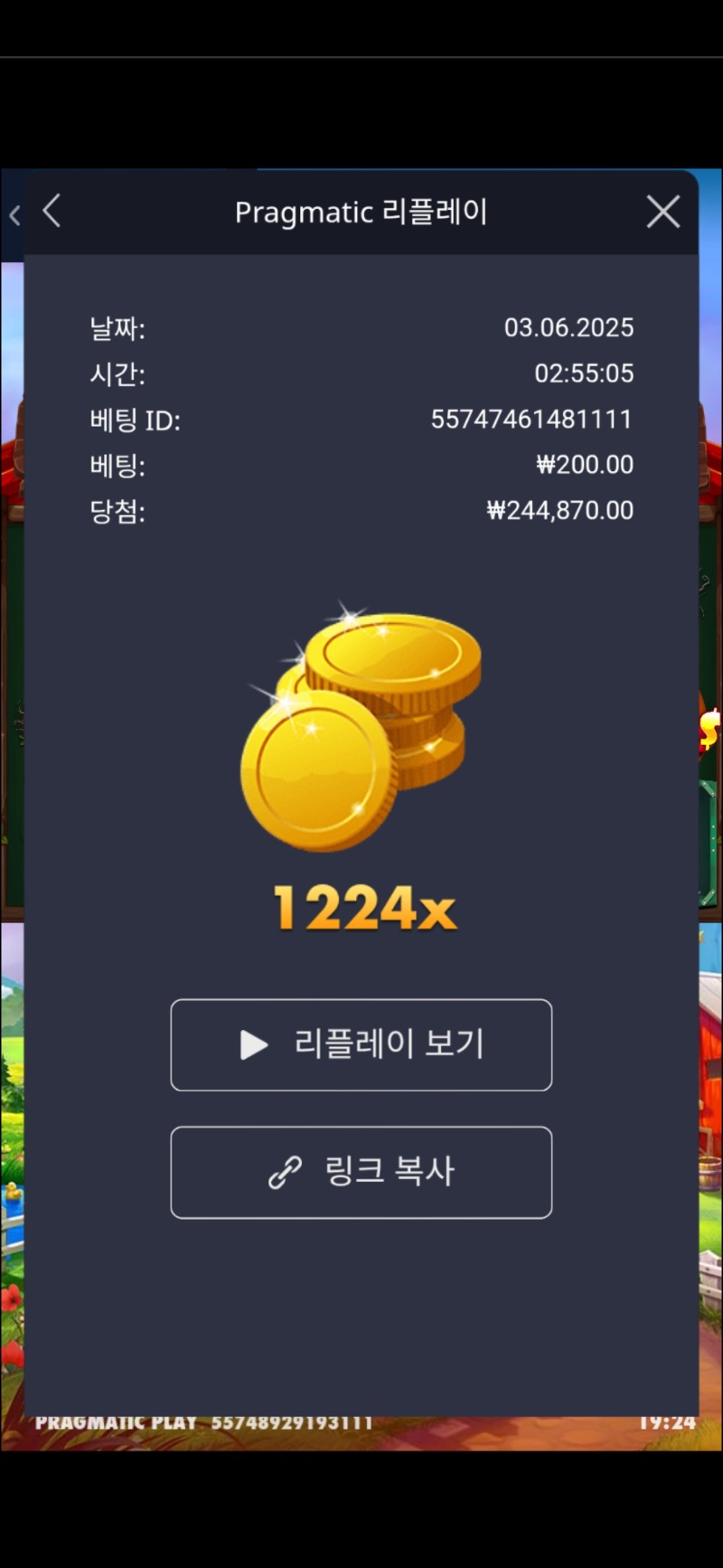 닭집 1224배