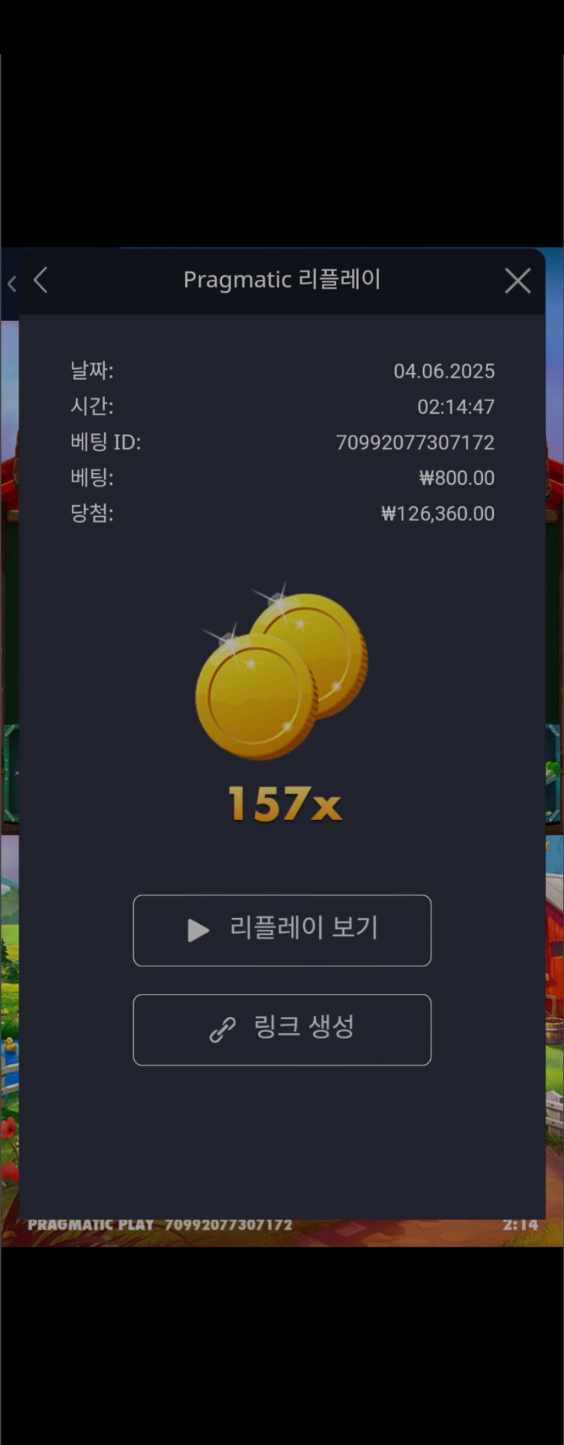 닭집157배