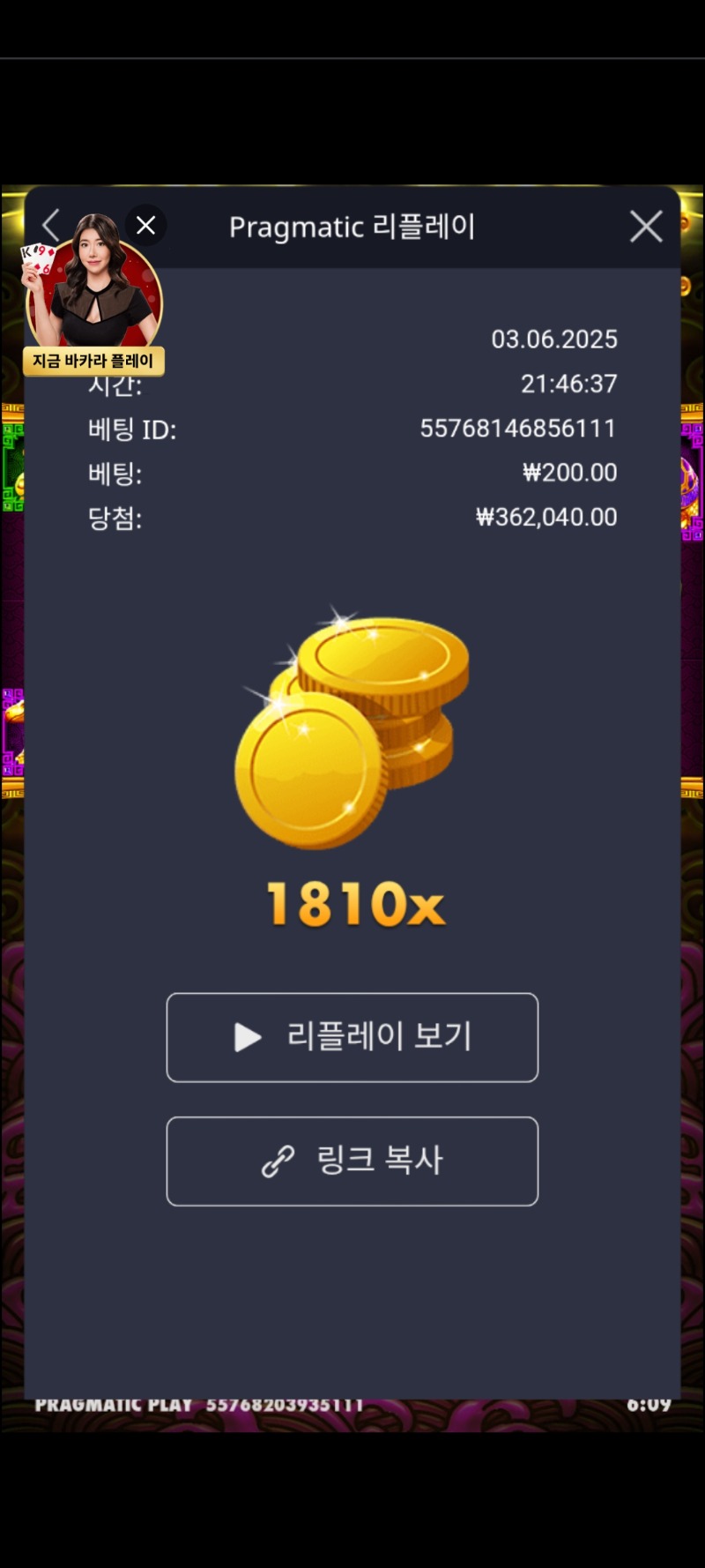 토라메1810