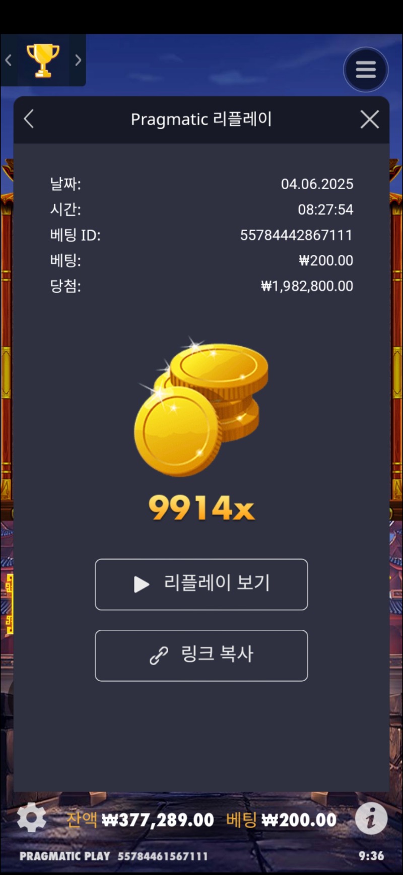 사무라이M 9914배 다시올립니다