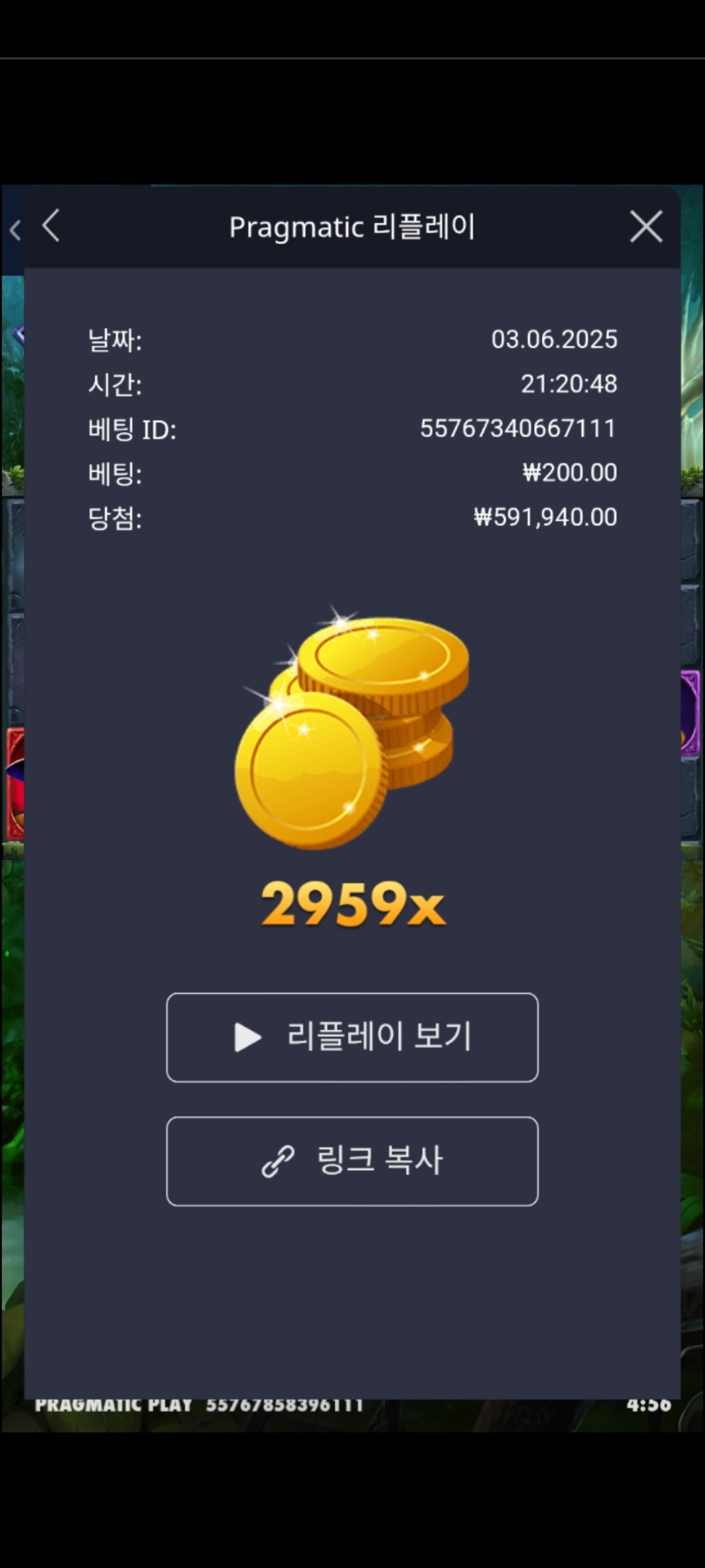 멀린2959