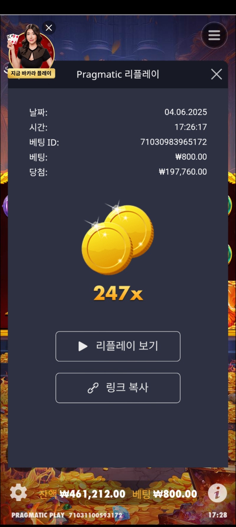 리치스247
