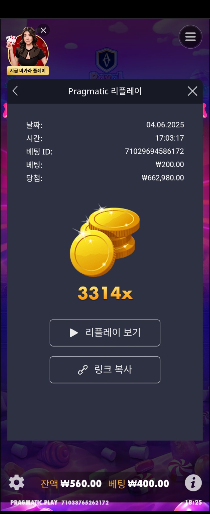 로열슈천 3314배