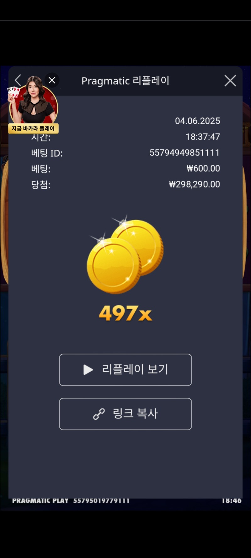 도메가497