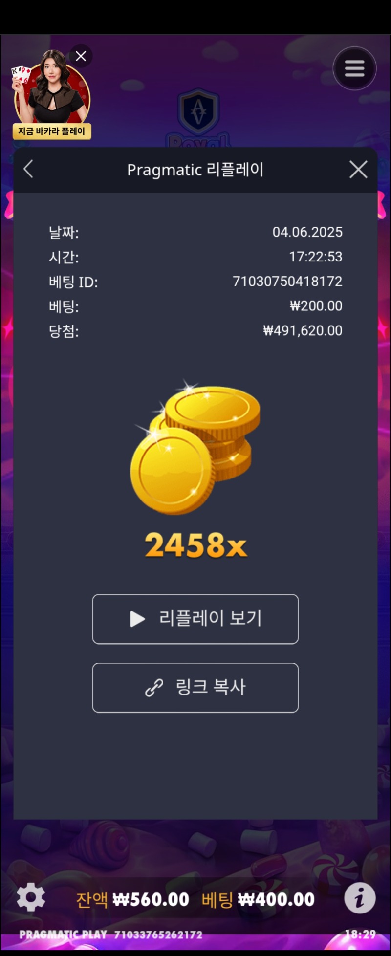 로열 슈천 2458배