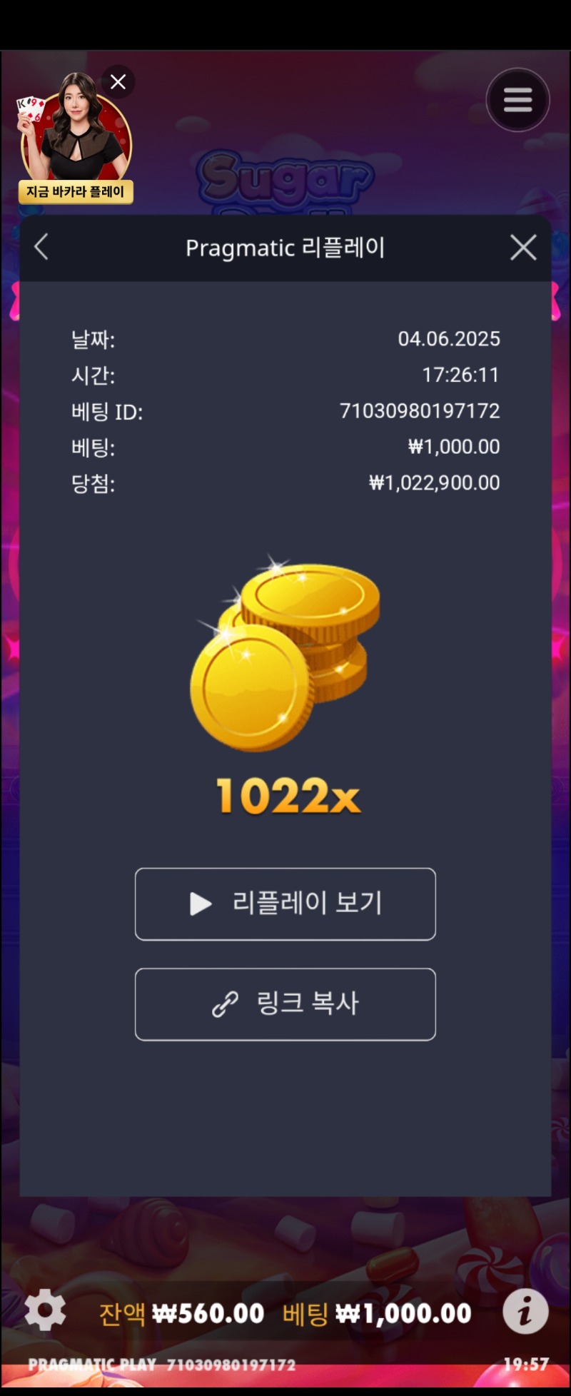 슈천 1022배