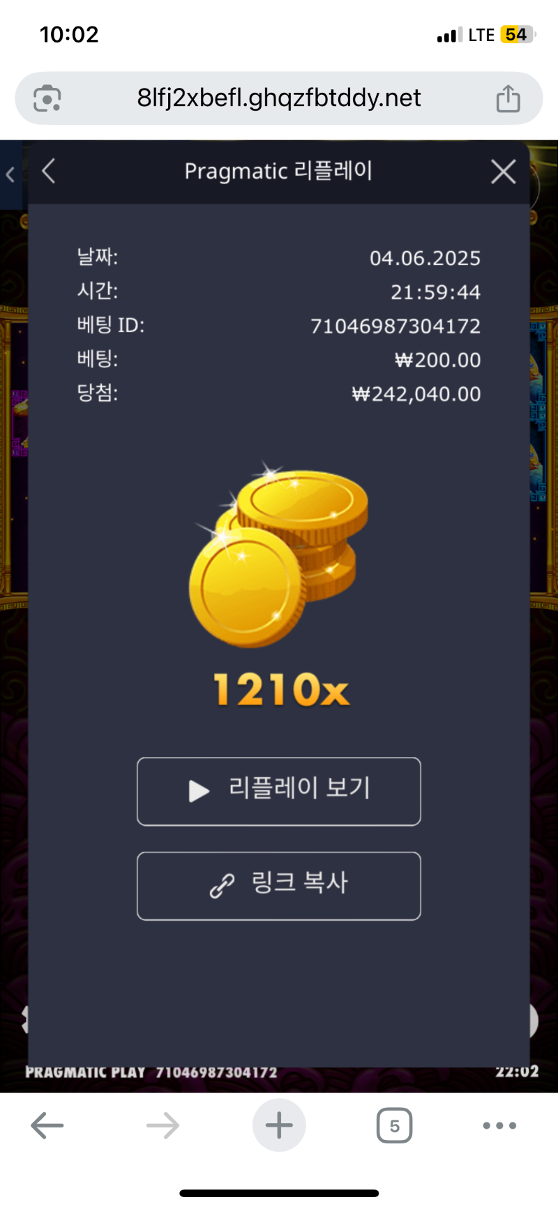 토라메 1210배