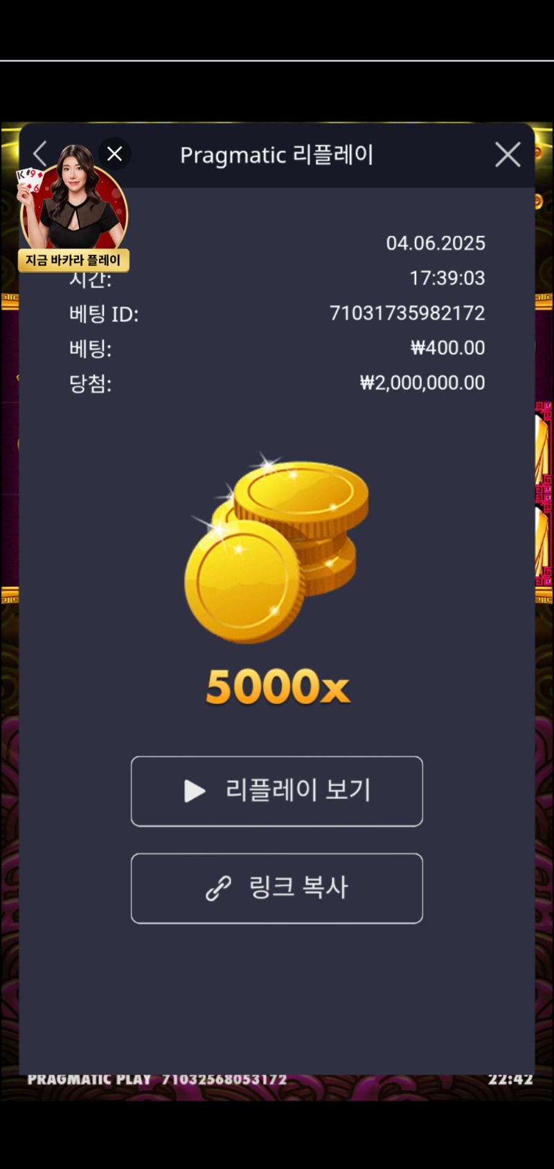 토라메 5000