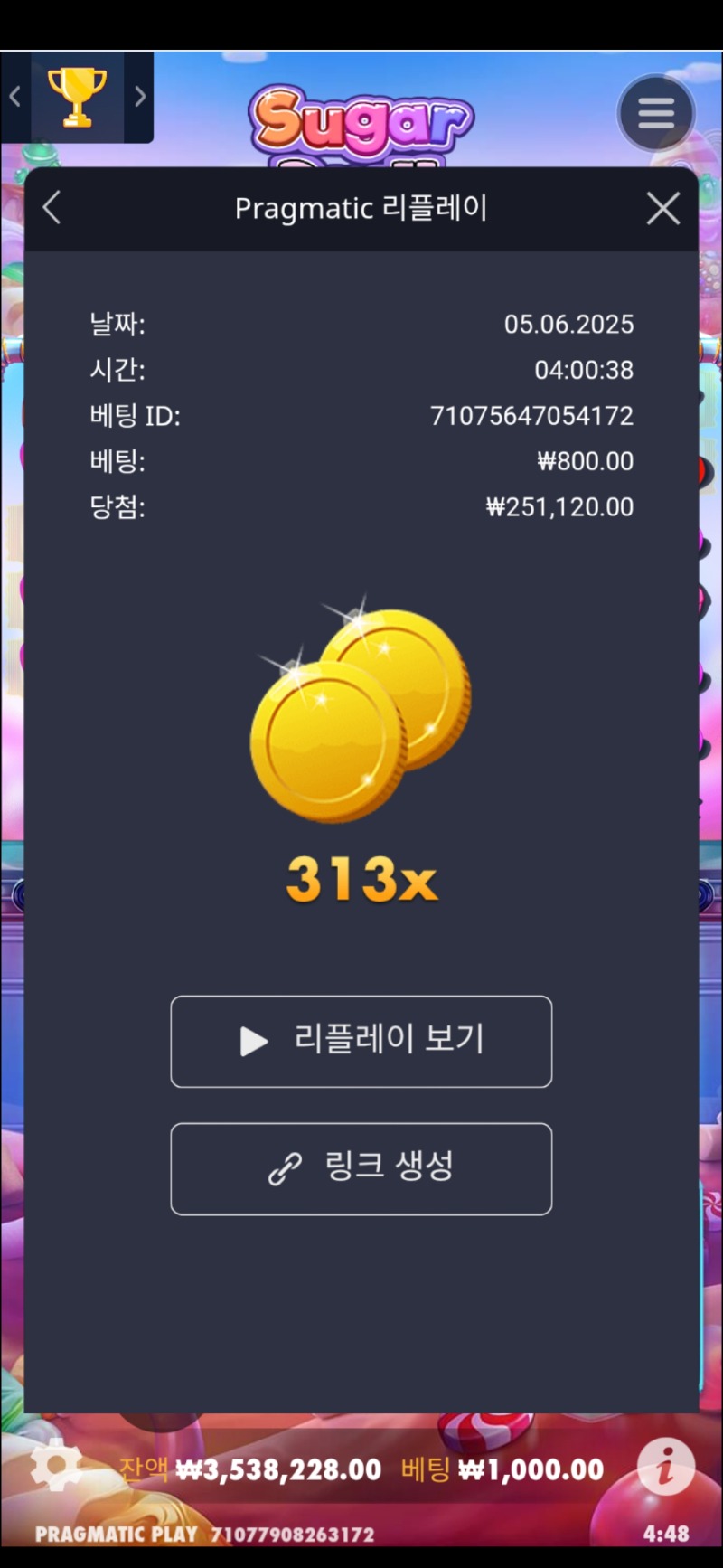 슈가1000 313배