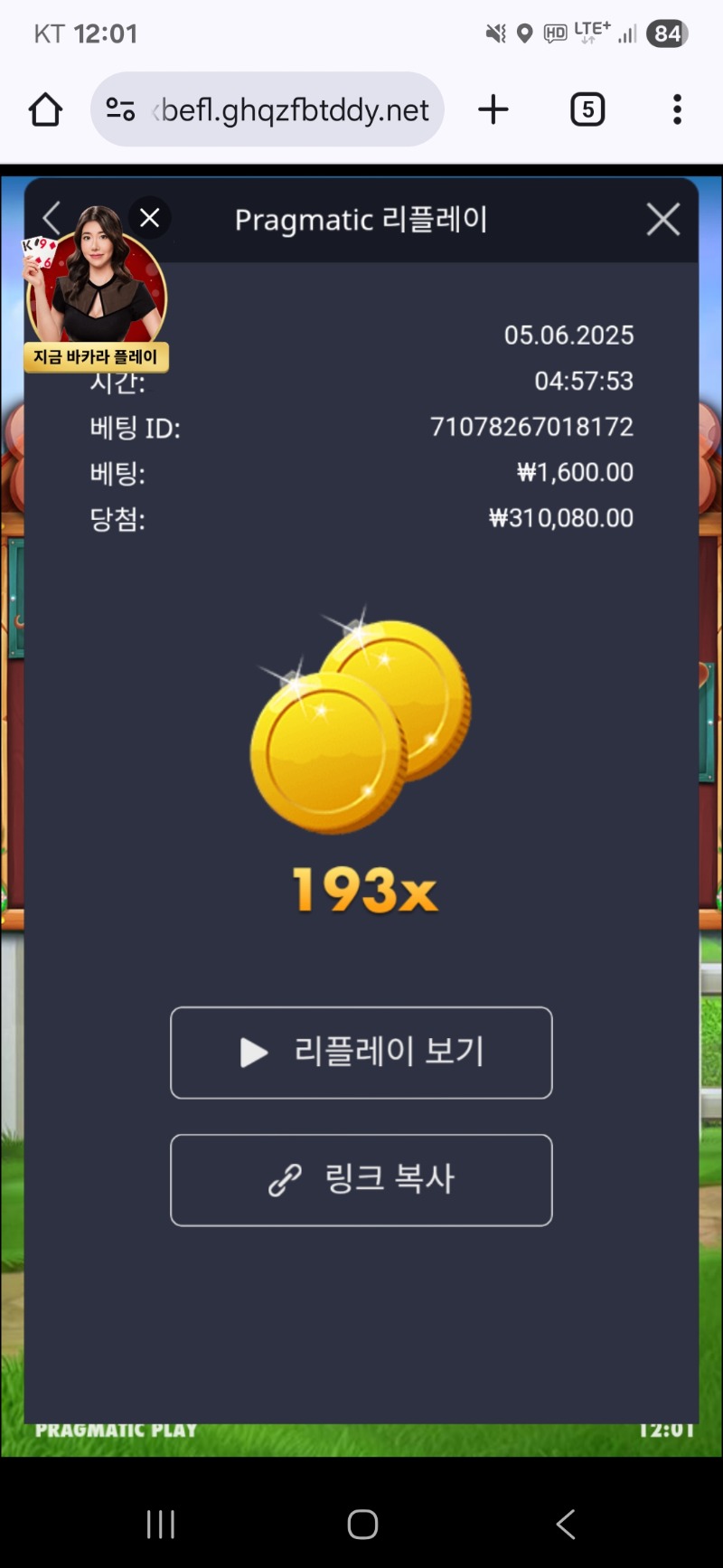 오늘의 배당 193배 트위티