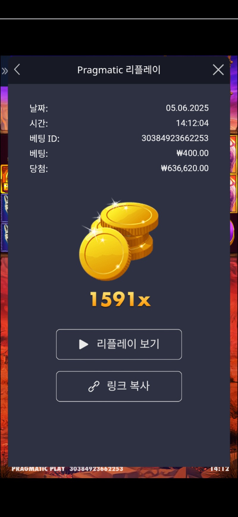버메가 1591배