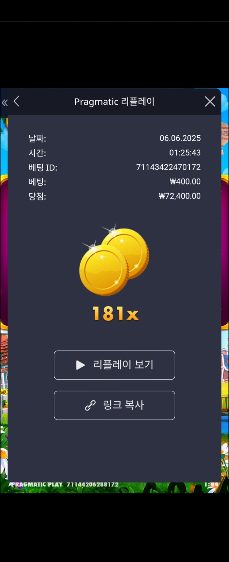 황금조리게181배