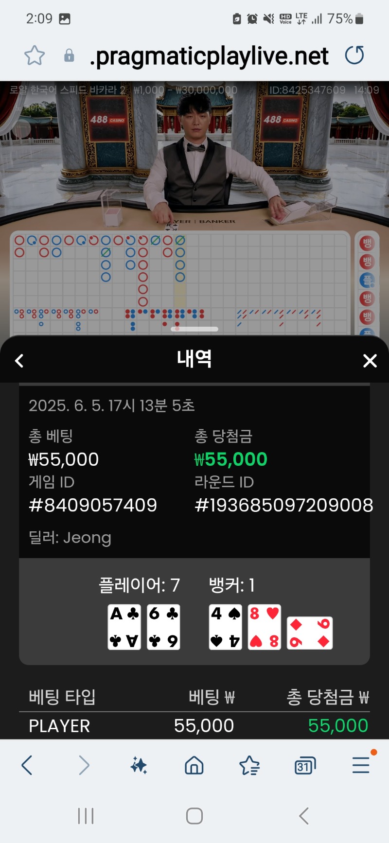 플레이어만 공략