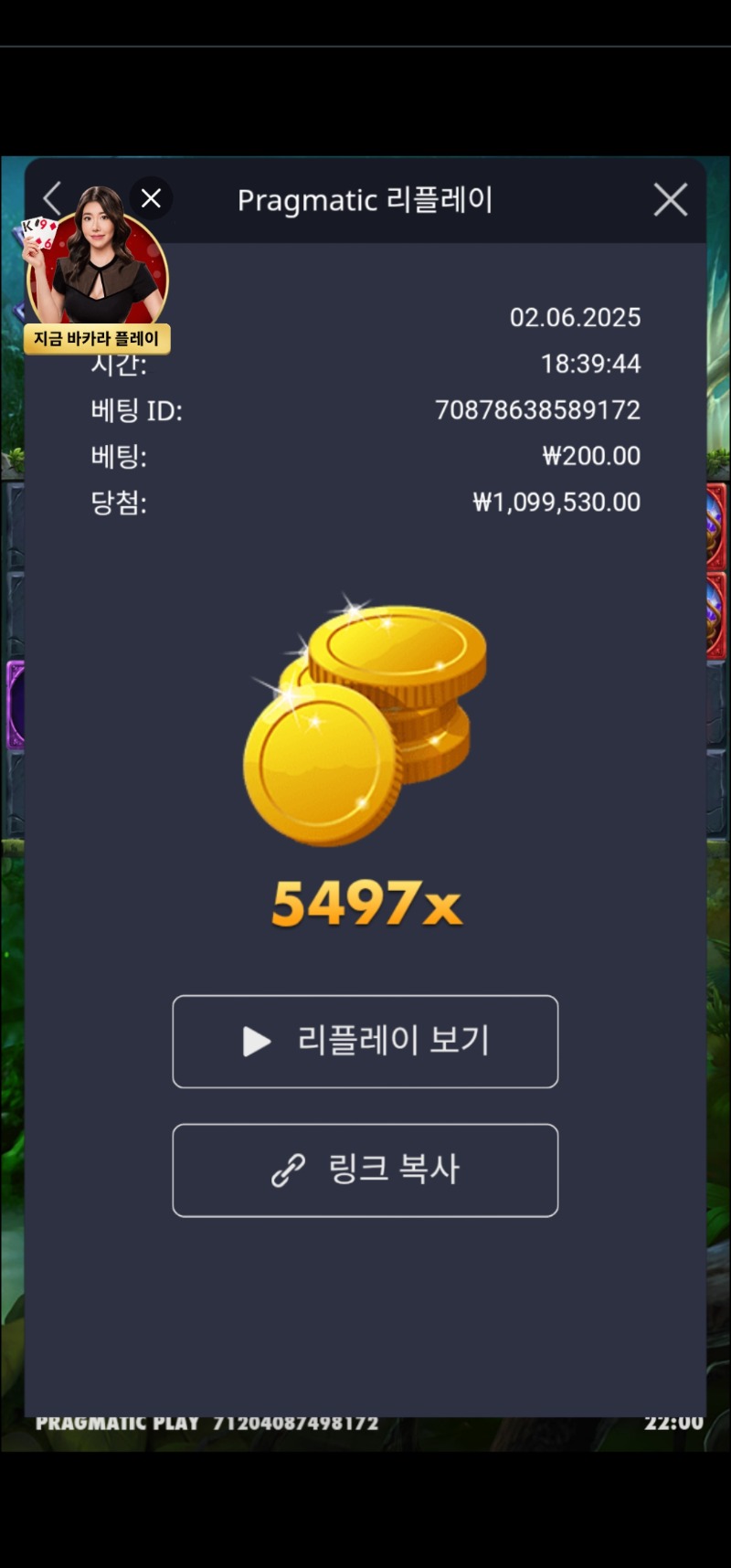 멀린  5497