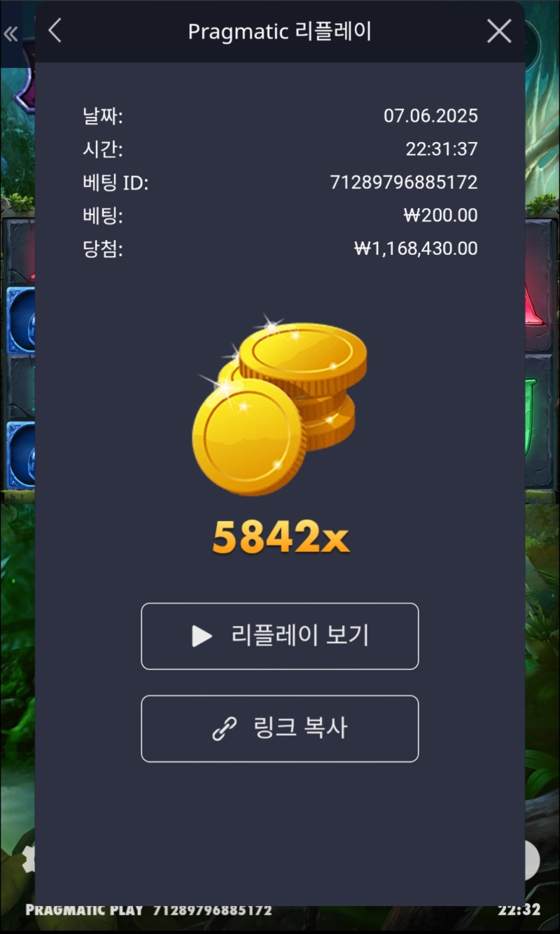 멀린 5842