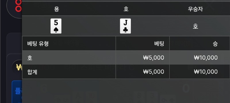 짜투리 승