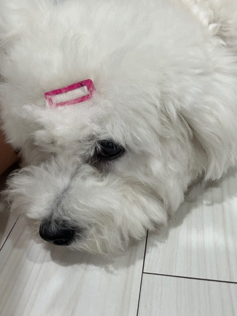 다들 좋은 밤 !!!!!!