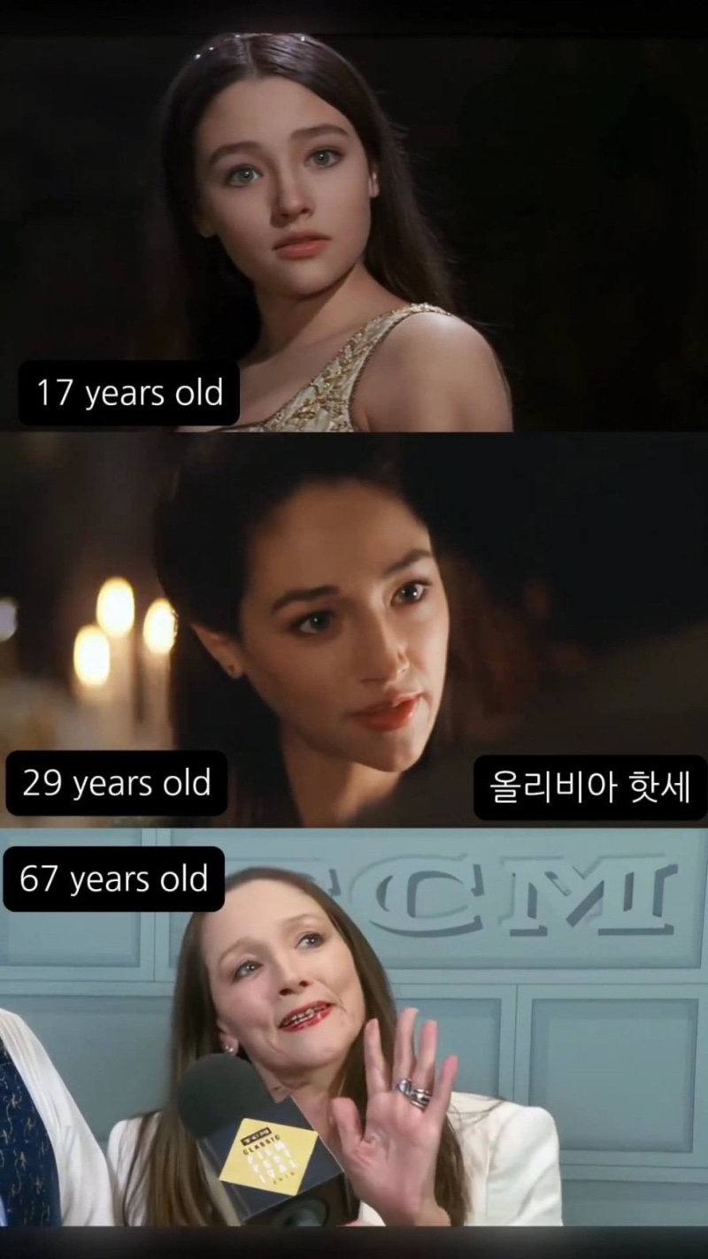 세기의 미녀들 외모 변천사