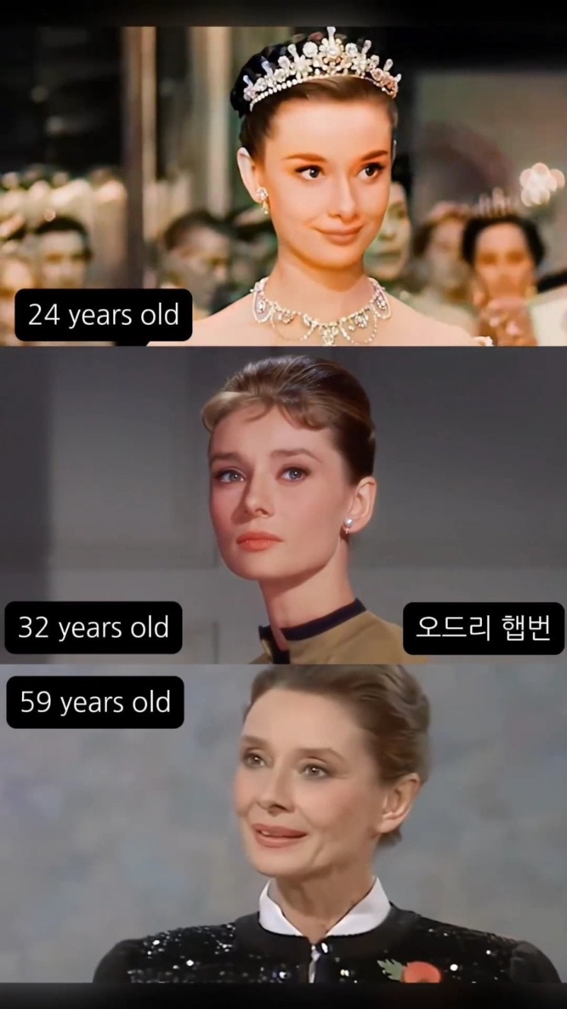 세기의 미녀들 외모 변천사