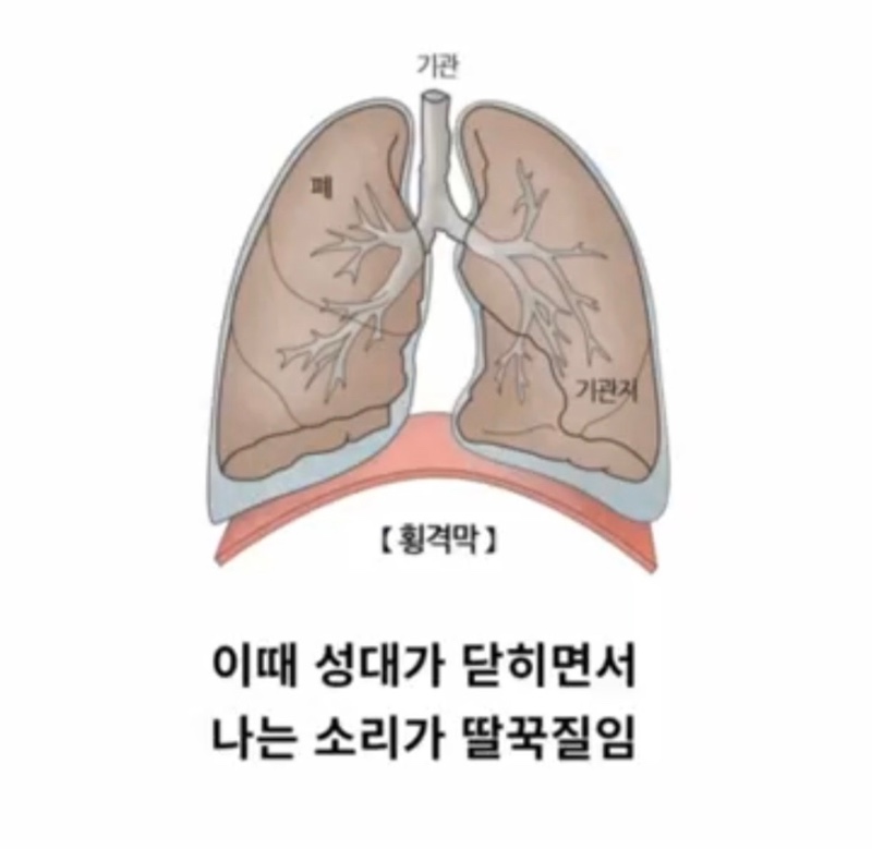 딸국질 1초만에 멈추는 꿀팁