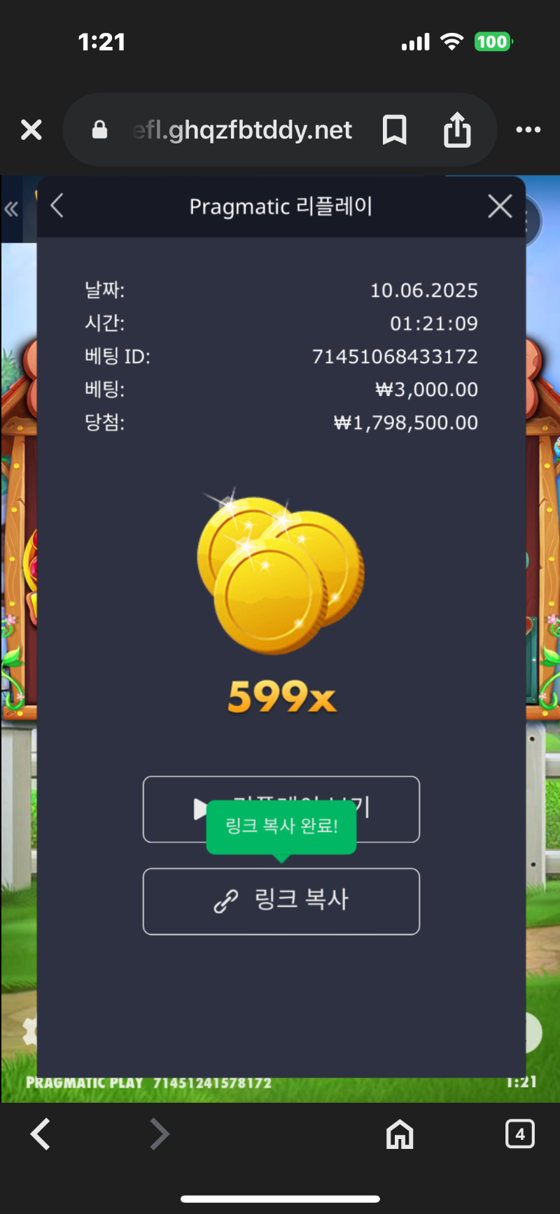 도그하우스 599