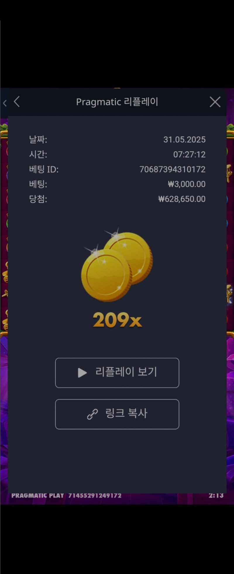 산타원더209