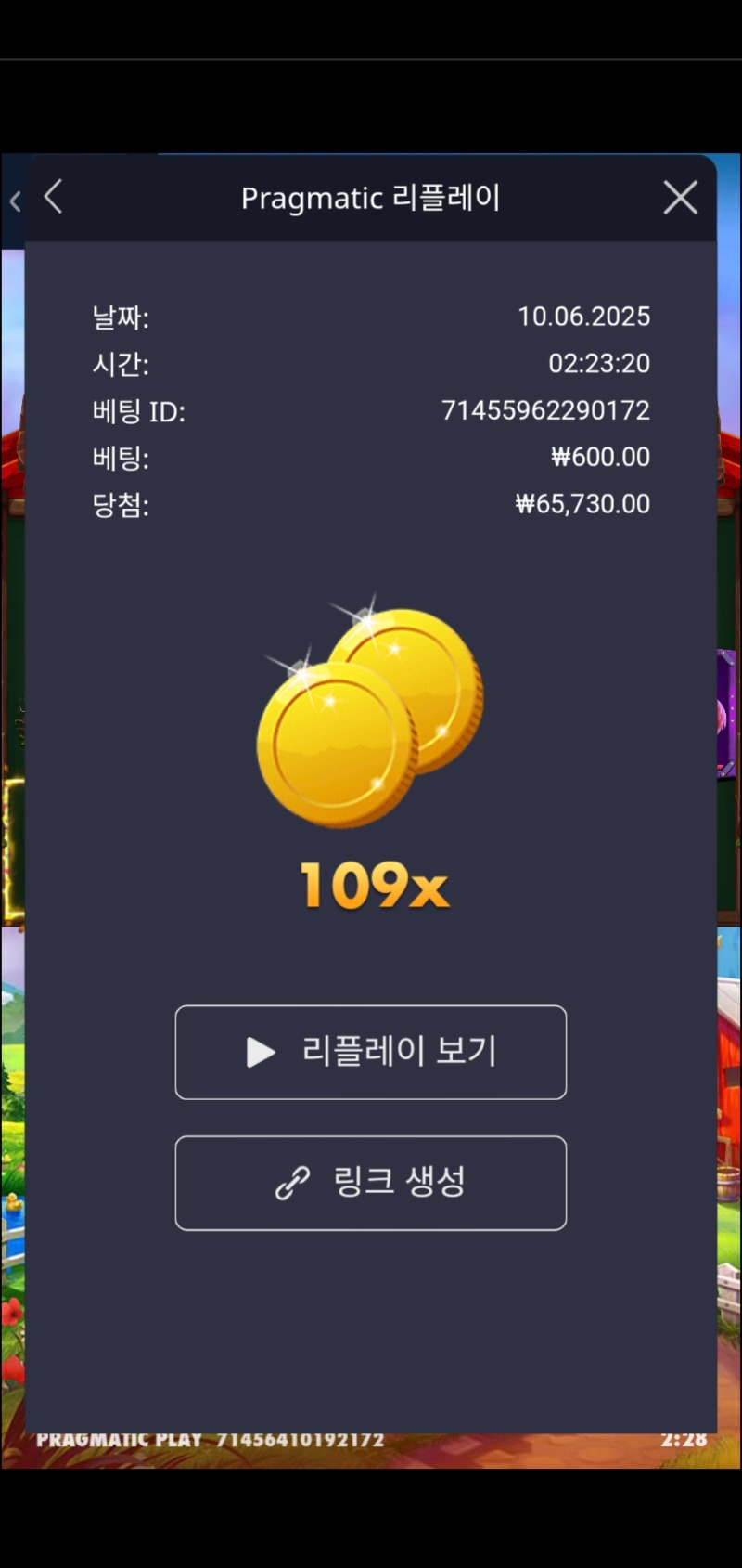 닭집109배