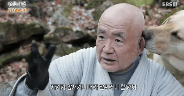 스님 머리 핥던 개 보리 근황
