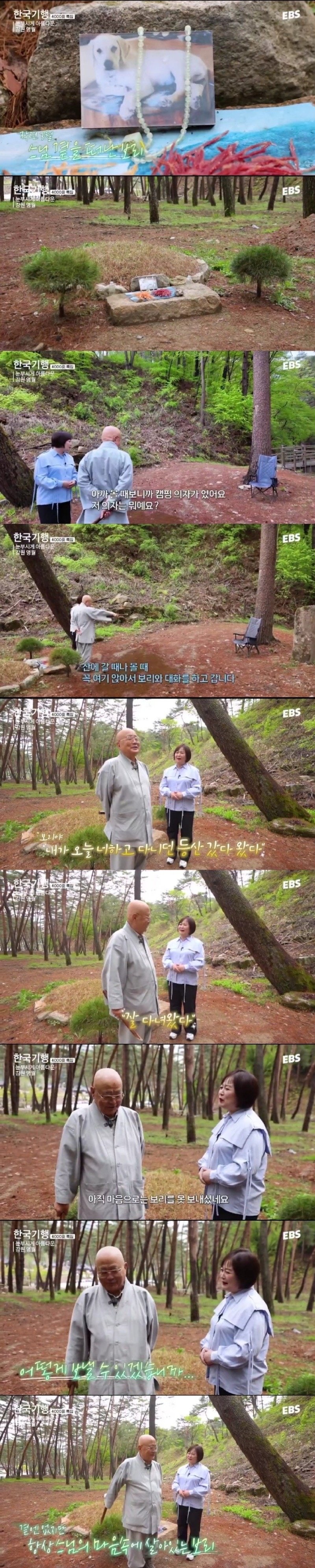 스님 머리 핥던 개 보리 근황
