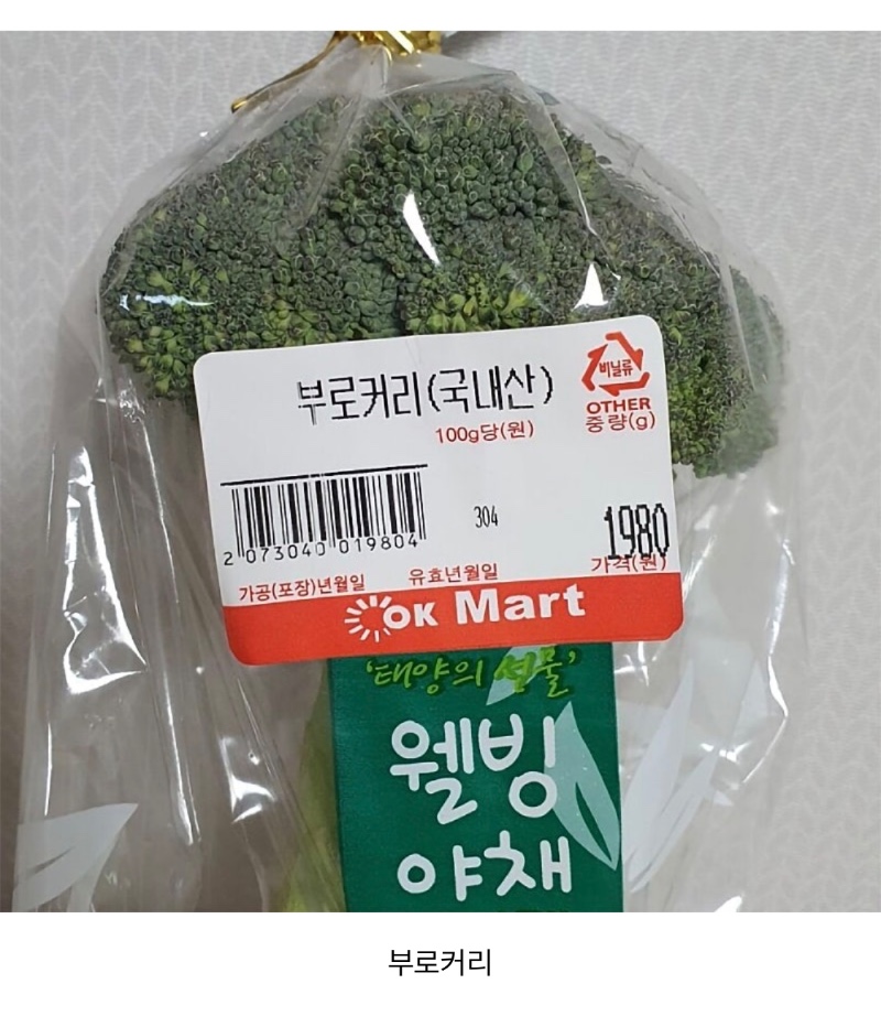 브로콜리 모음집