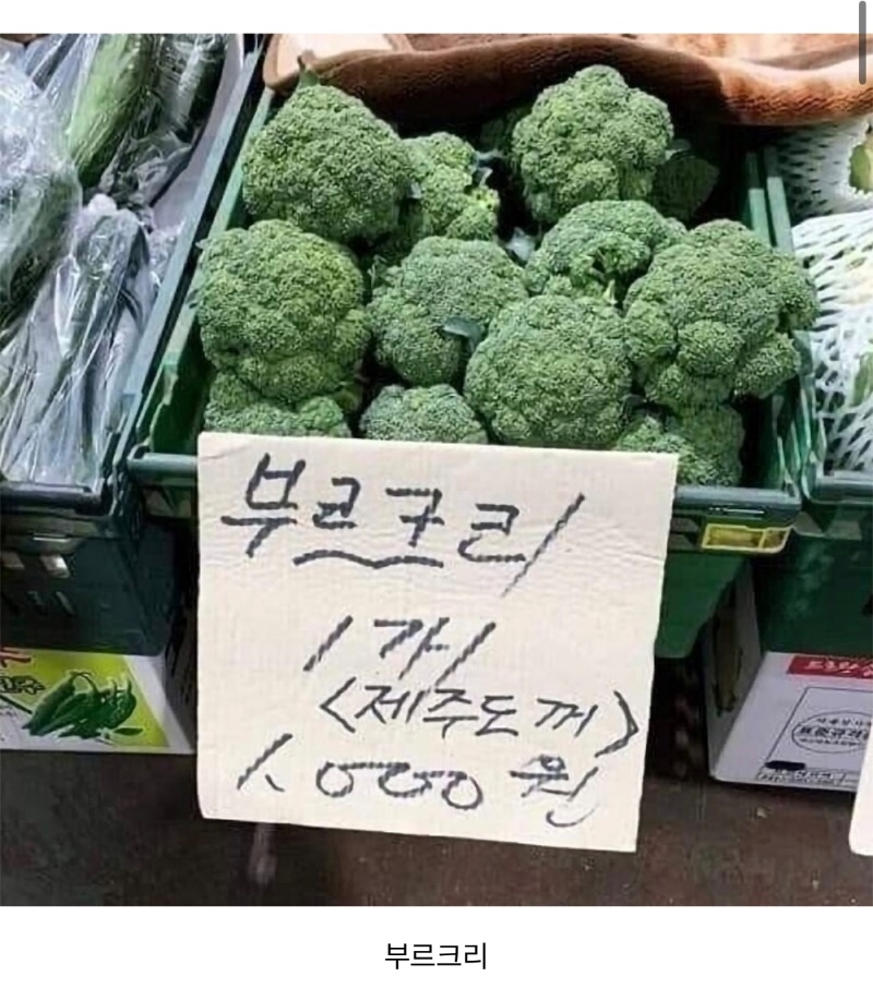 브로콜리 모음집