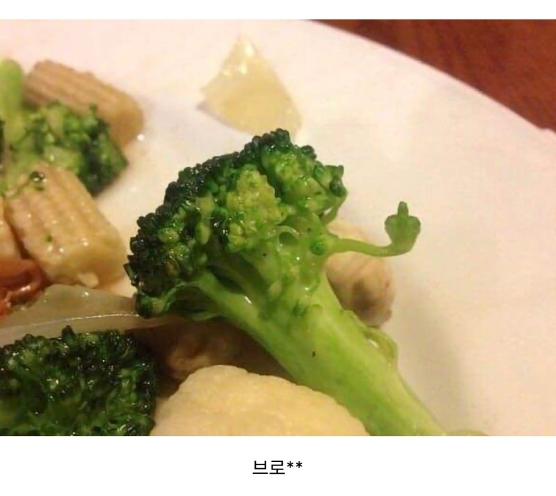 브로콜리 모음집