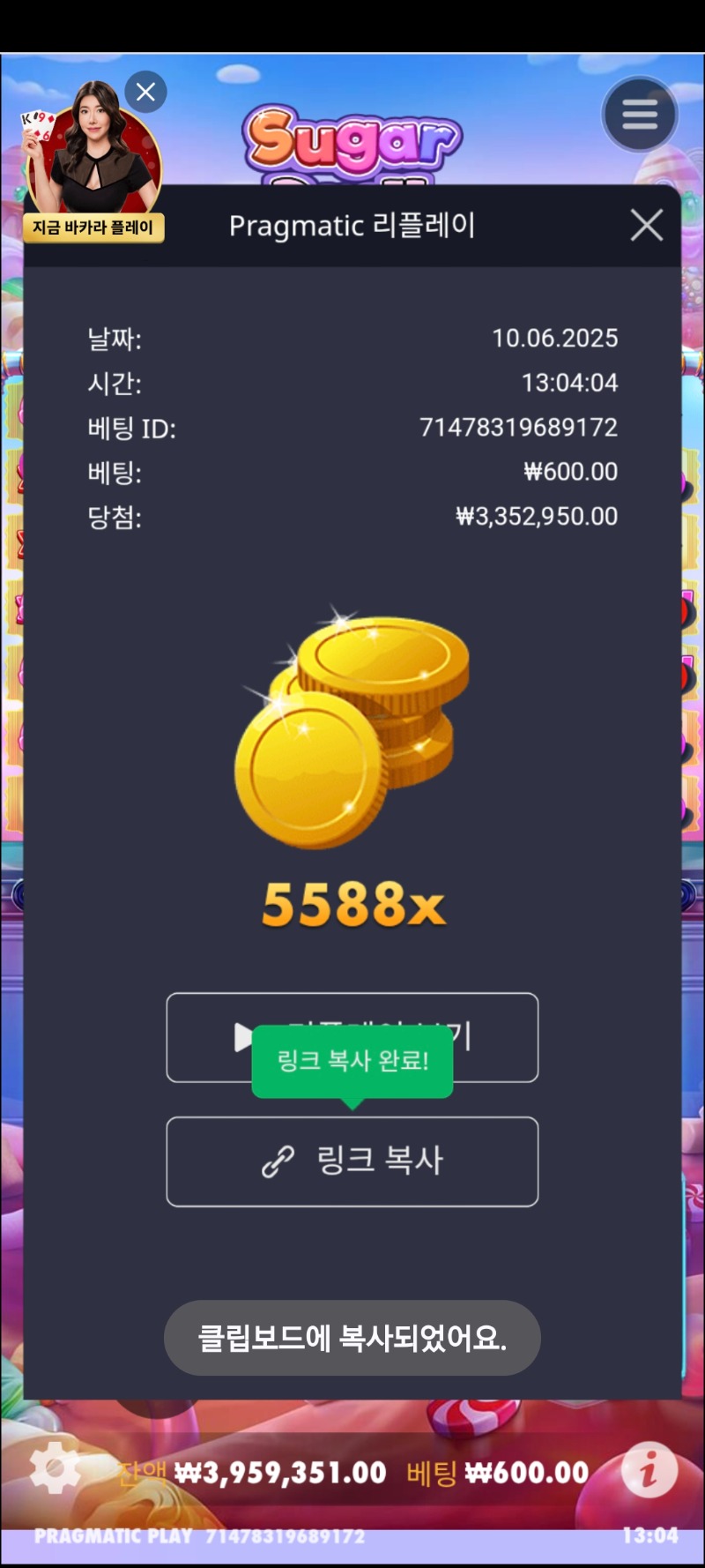 슈가1000  5588 배