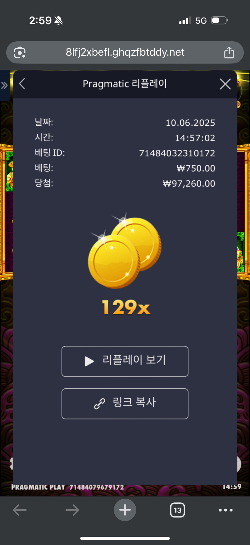 오배 토라메 129배