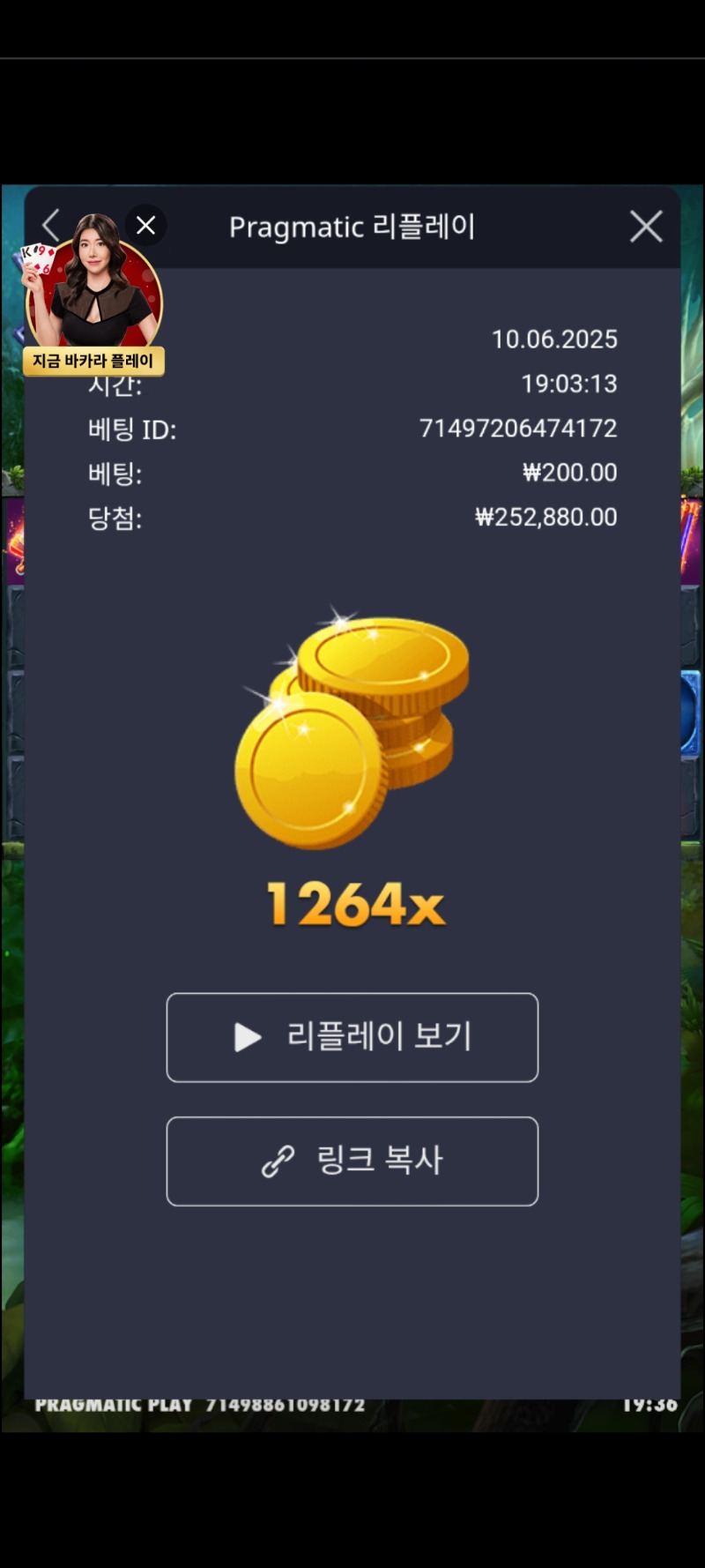 멀린1264