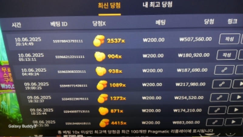 멀린2537배